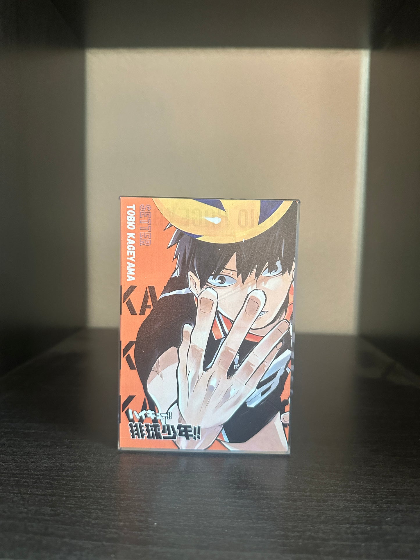 Acryl Brick Hikyu Kageyama