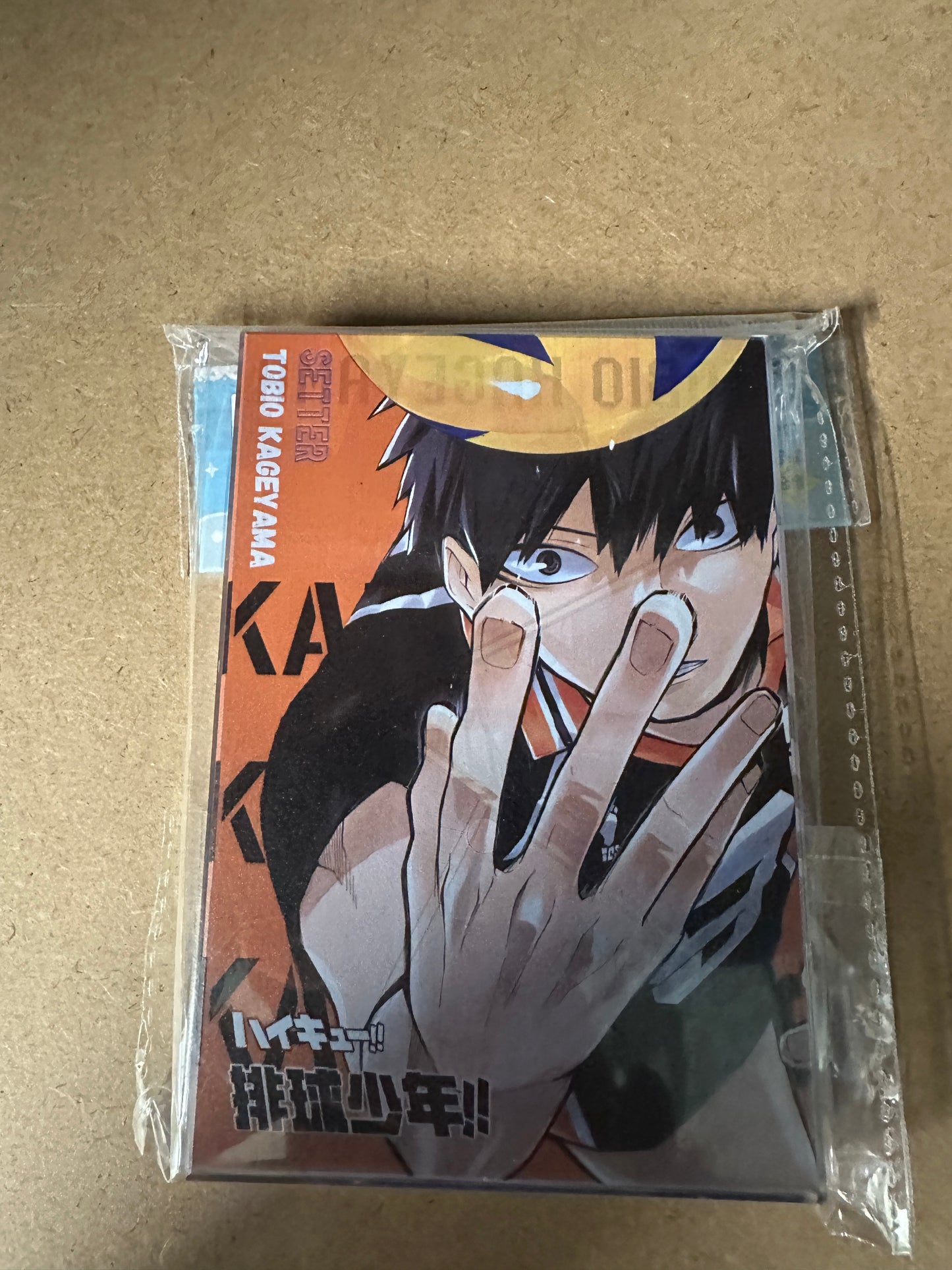 Acryl Brick Hikyu Kageyama