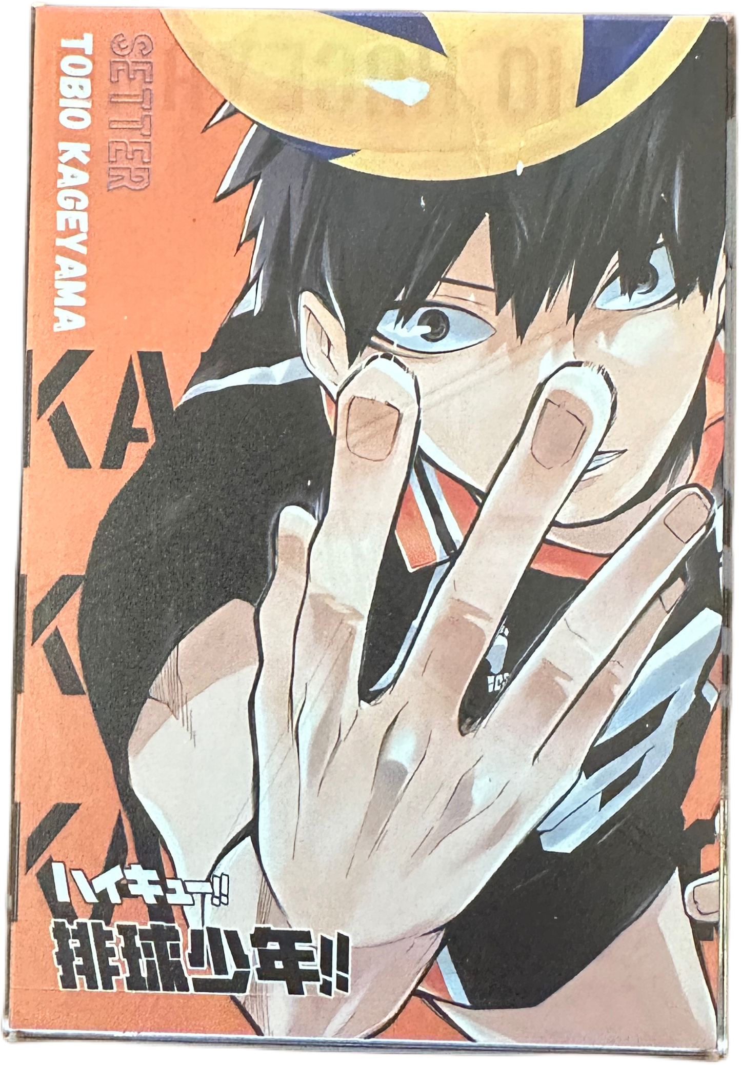 Acryl Brick Hikyu Kageyama