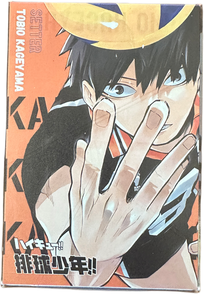 Acryl Brick Hikyu Kageyama