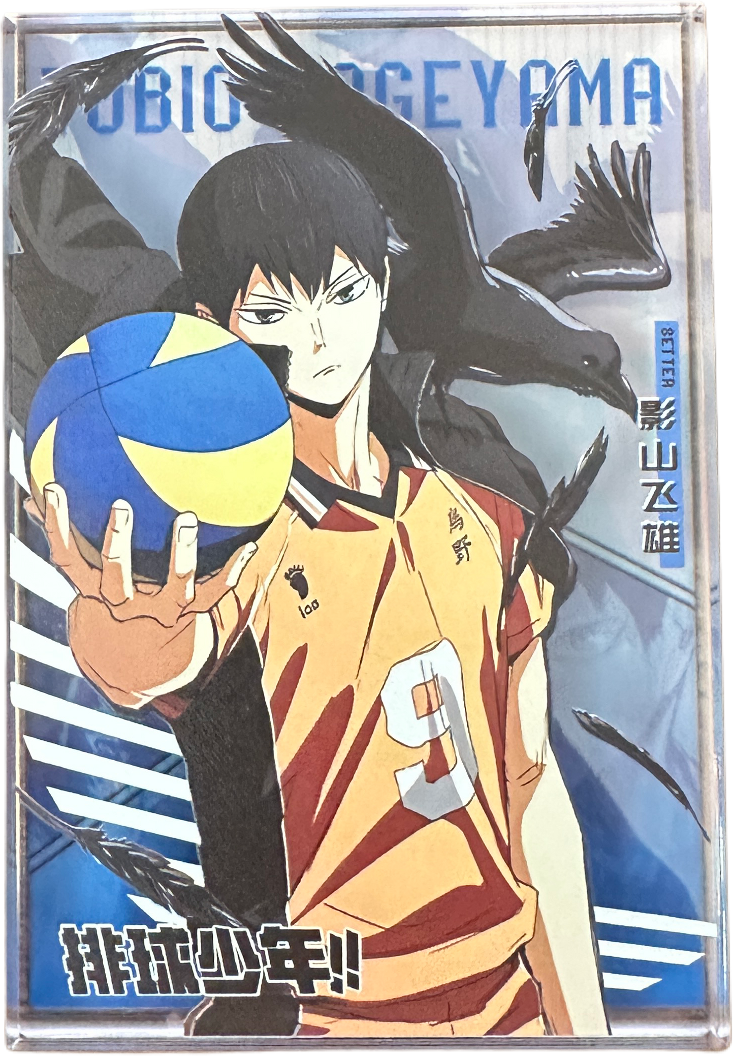 Acryl Brick Hikyu Kageyama