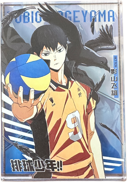 Acryl Brick Hikyu Kageyama