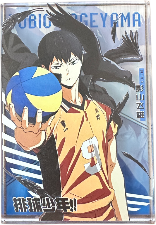 Acryl Brick Hikyu Kageyama