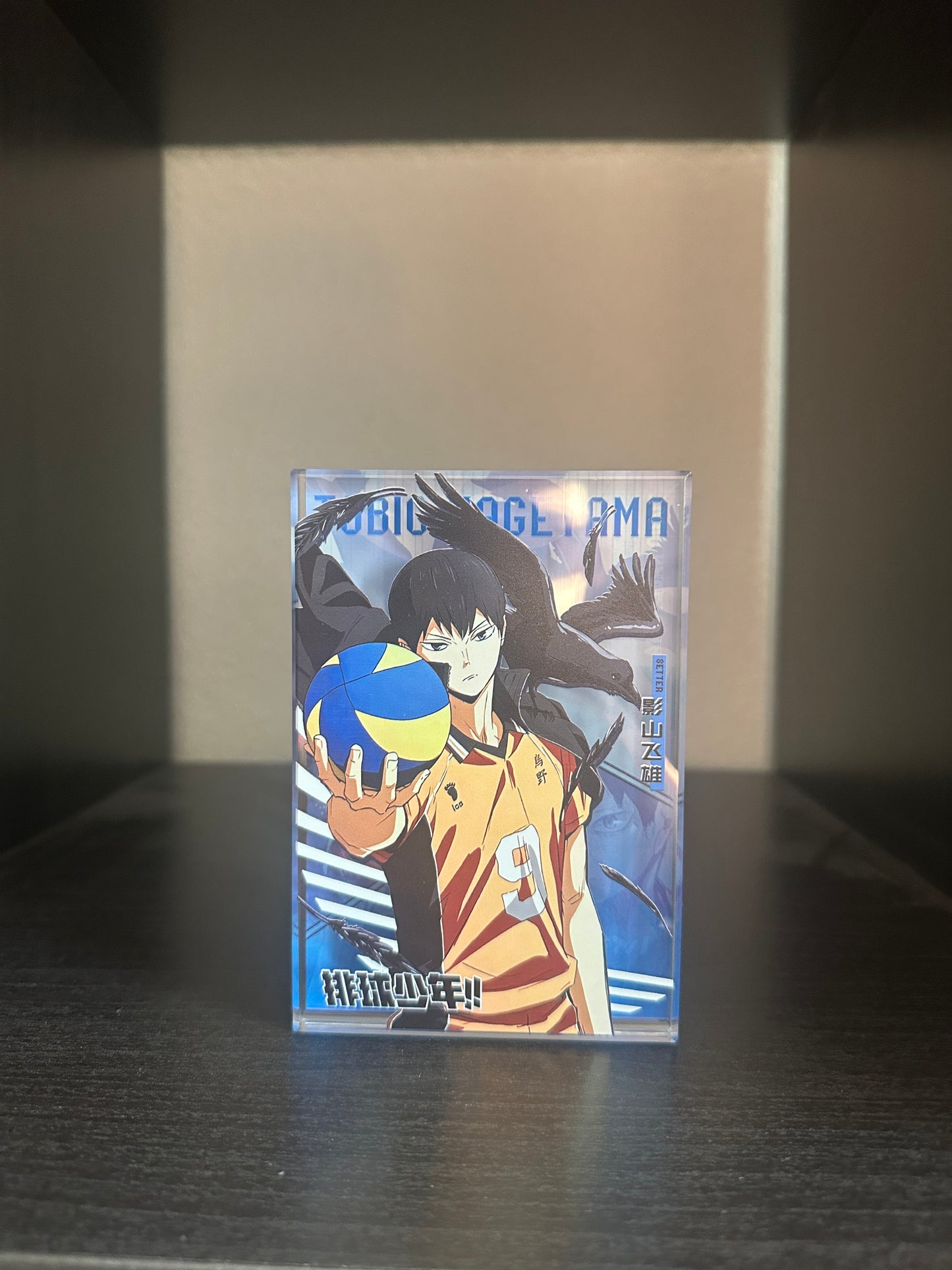 Acryl Brick Hikyu Kageyama