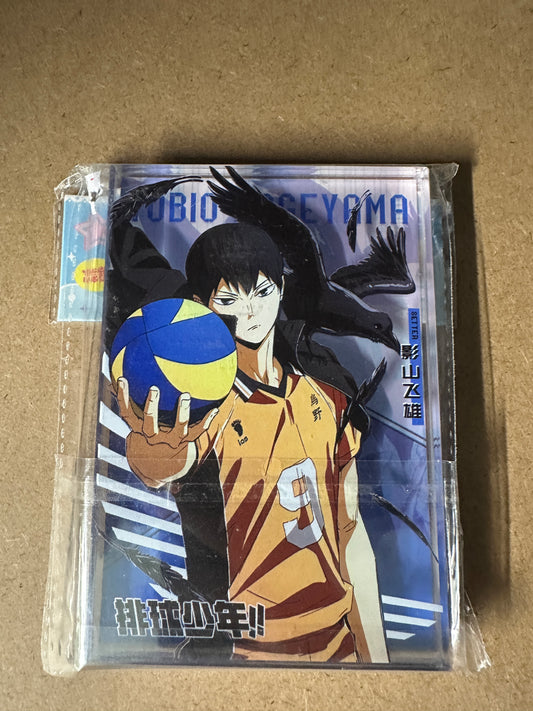 Acryl Brick Hikyu Kageyama