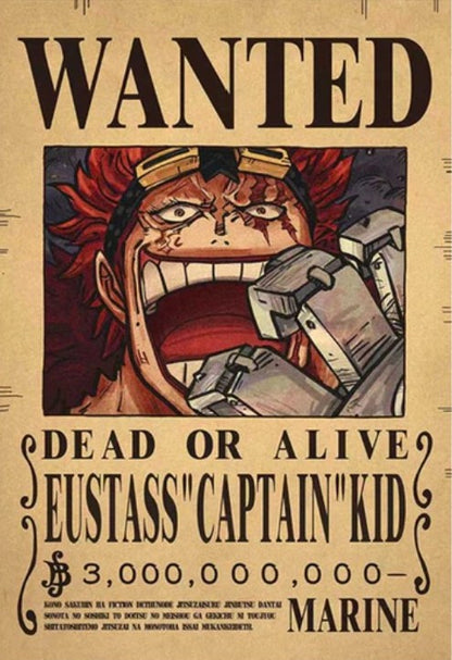 One Piece Bounty Poster