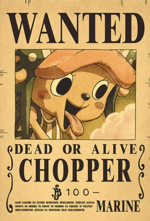 One Piece Bounty Poster