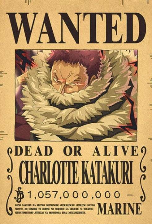 One Piece Bounty Poster