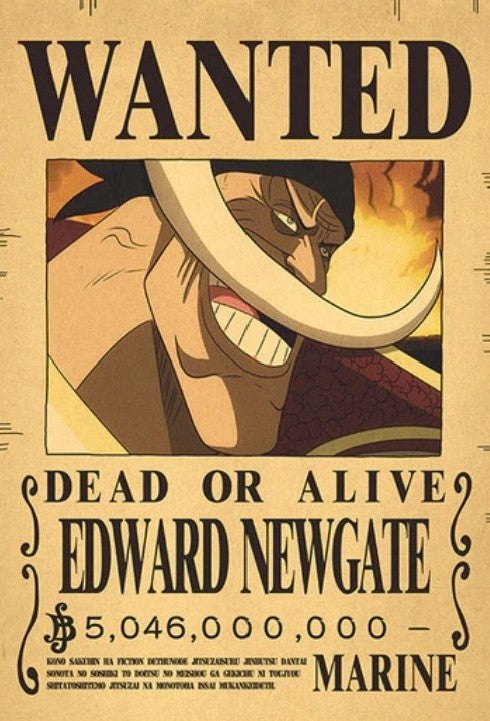 One Piece Bounty Poster