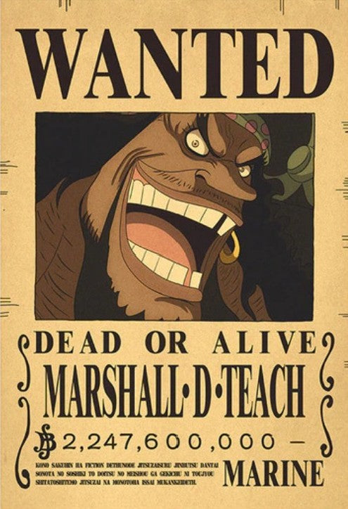 One Piece Bounty Poster