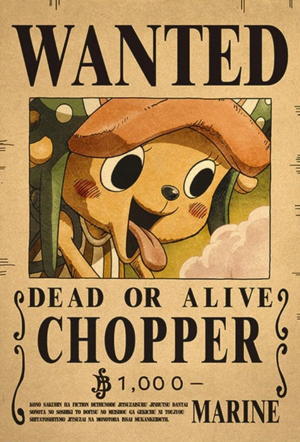 One Piece Bounty Poster